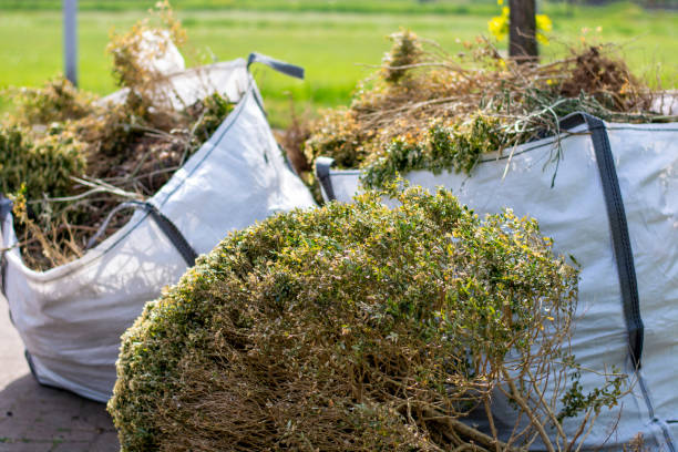 Best Demolition Debris Removal  in Homeland Park, SC